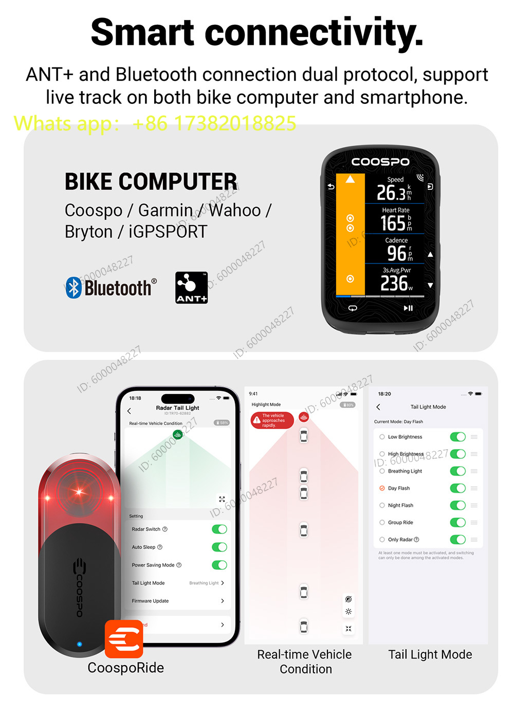 Fanale Posteriore Radar TR70 p - Bike Tail Light recensione e prezzo